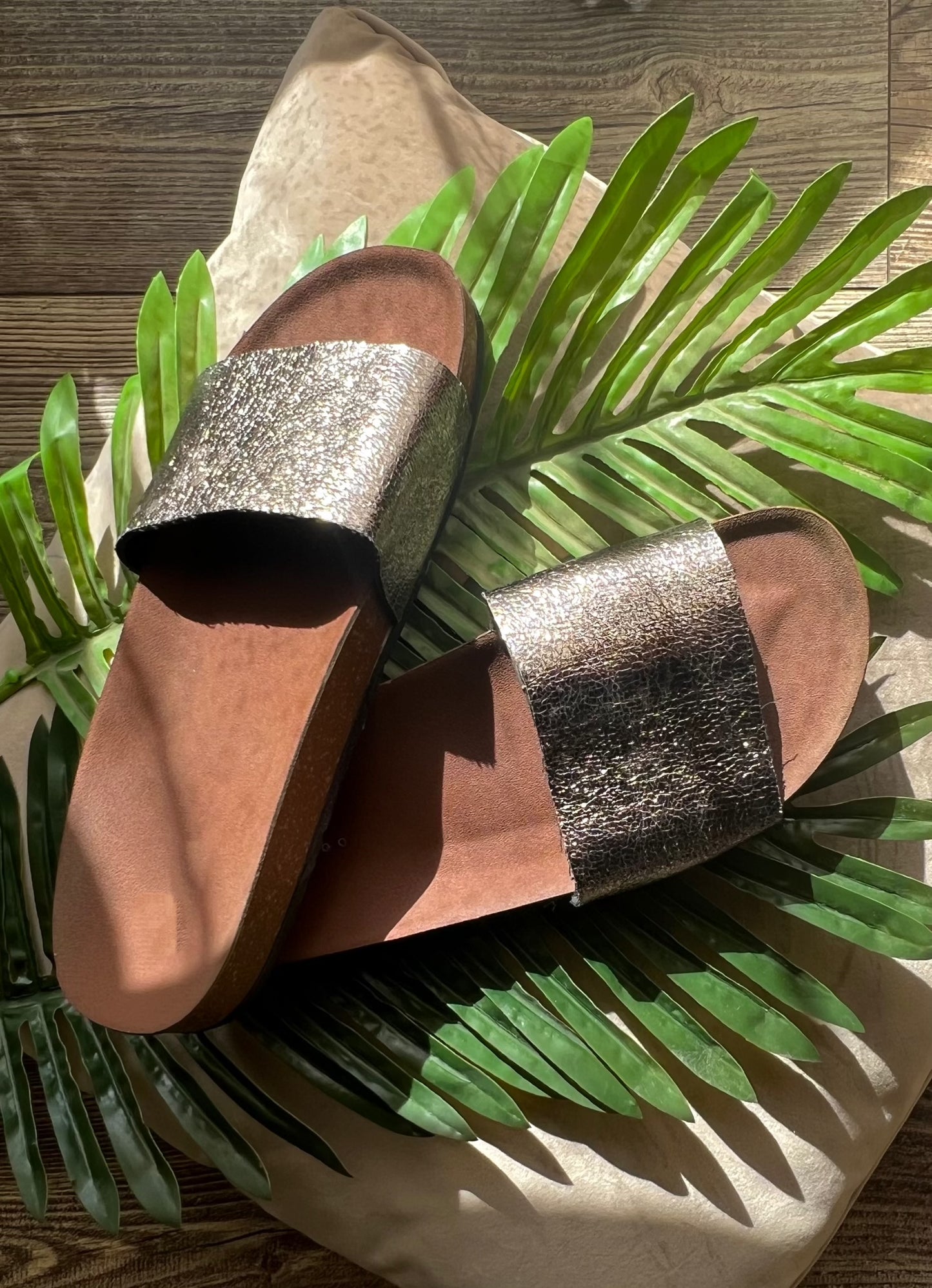 Seashell Silver Slides